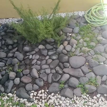 El Buho Casa de Férias Tegueste